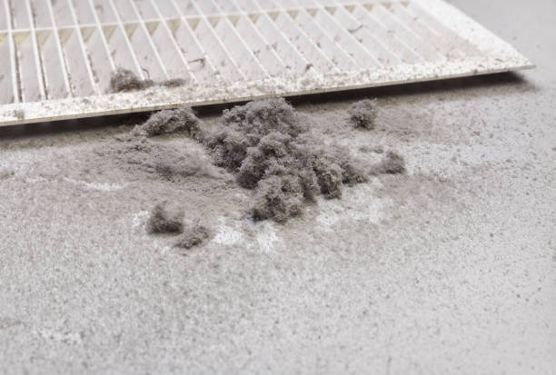 Home Air Vent Cleaning in Trowbridge Park, MI