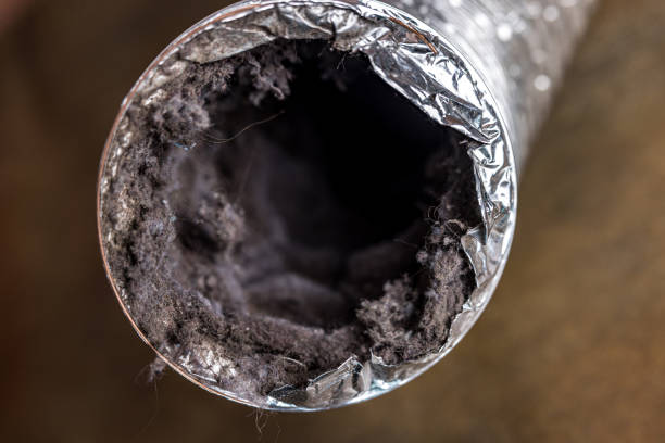 Best Commercial Air Duct Cleaning  in Trowbridge Park, MI