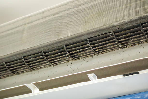 Professional Airduct Cleaning in Trowbridge Park, MI
